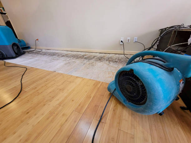 Reliable Flood Damage Restoration contractor in Houston, TX by Hirex Water Damage