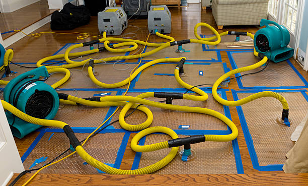 Professional Flood Damage Restoration technician working in Houston, TX